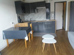 Appartement pieds des pistes au Pla d'Adet à Saint Lary Soulan